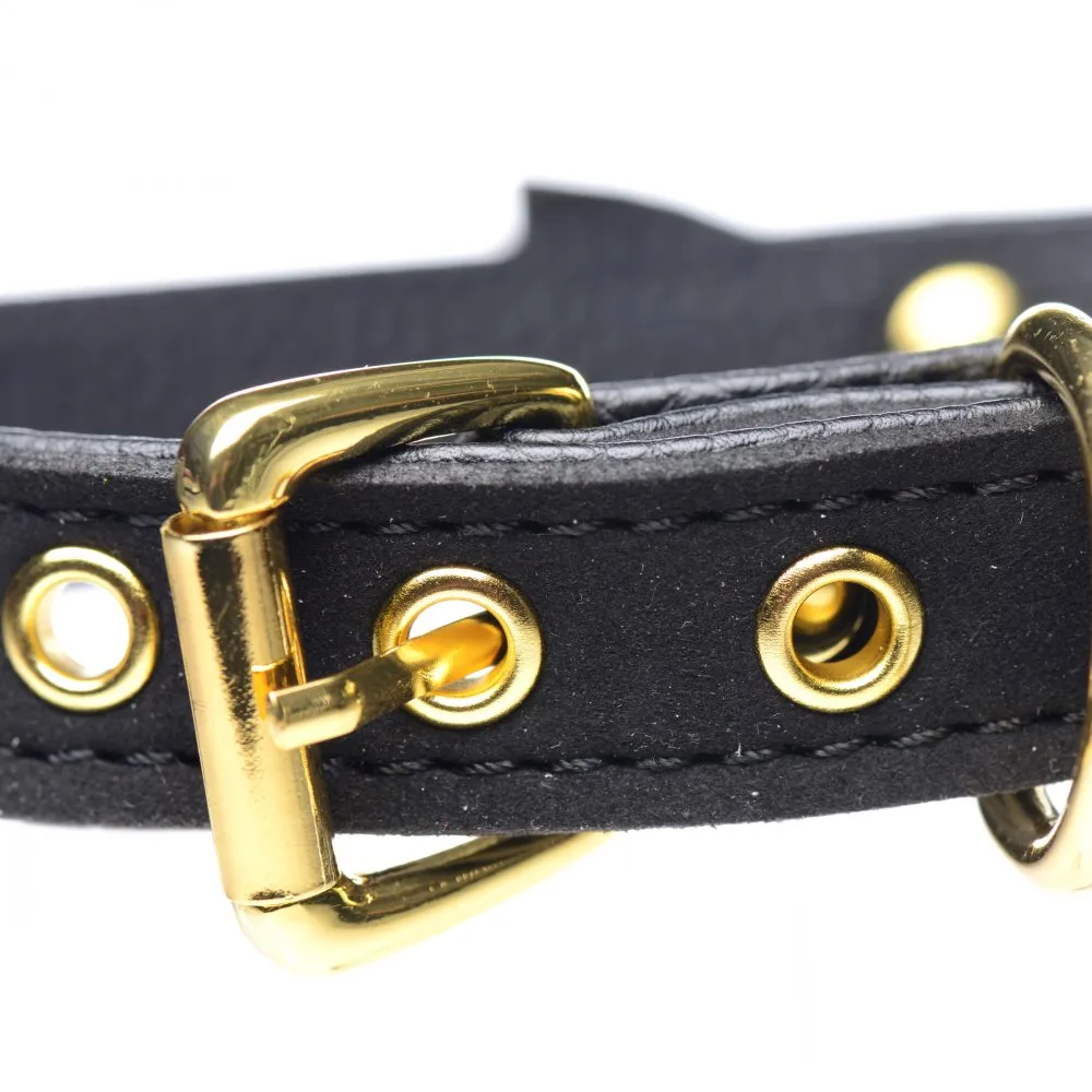 Golden Kitty Cat Bell Collar